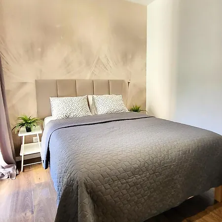 Praga Premium Apartment *